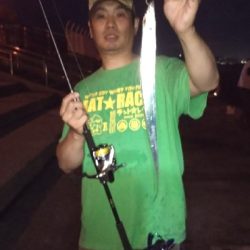 夏タチウオ調査