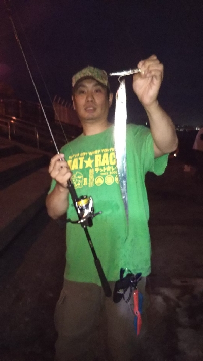 夏タチウオ調査