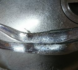 今日もタチウオ