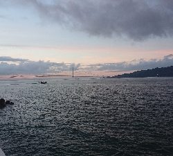 釣り部 釣行記  19