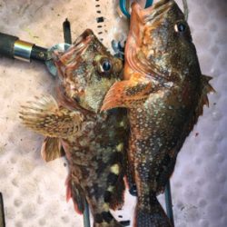 マイボートでタイラバ、ジギング!