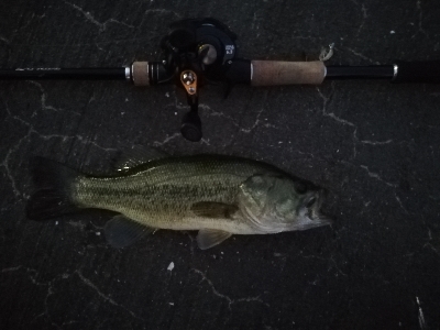 暗くなってきてから