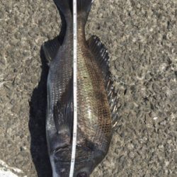 赤・青・黒三冠達成！！めでタイ！