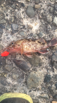 キスあきません。