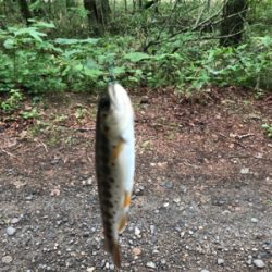 苫小牧某所にて