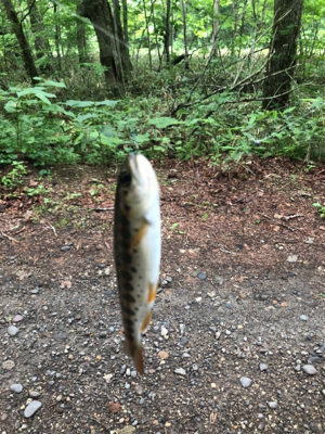 苫小牧某所にて