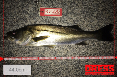 ゲストに救われた