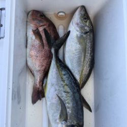 海上釣堀 田尻さんにて