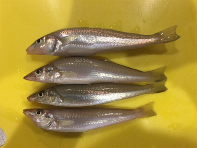 キスいました！