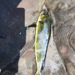 これで良いのか？