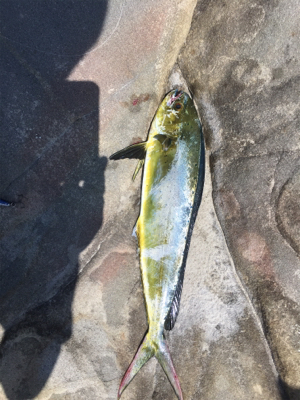 これで良いのか？