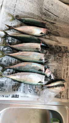 初めてのショアジギング