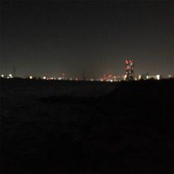 淀川ブリームゲーム キビレ探し