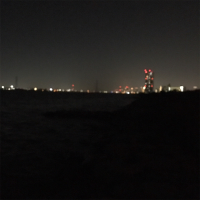 淀川ブリームゲーム キビレ探し