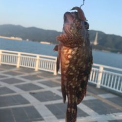 地合いの前の坊主逃れ