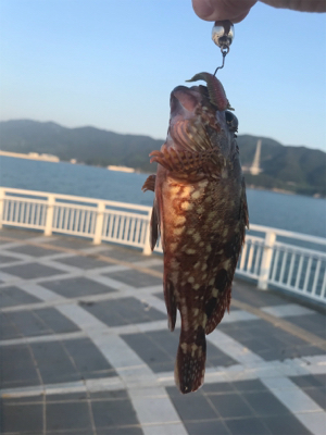 地合いの前の坊主逃れ
