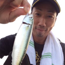 アジ ケンサキイカ調査とナイトゲーム