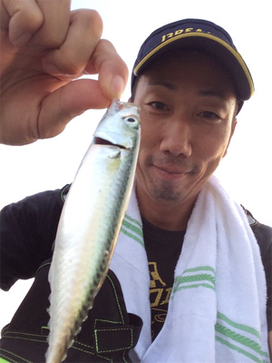 アジ ケンサキイカ調査とナイトゲーム