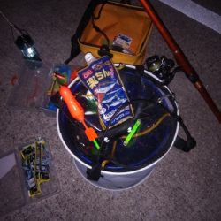 釣堀前日のサビキ釣り