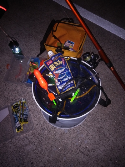 釣堀前日のサビキ釣り