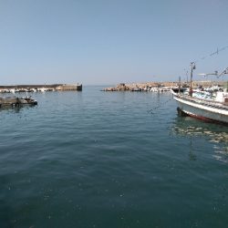 久し振りの海上釣堀オーパ！