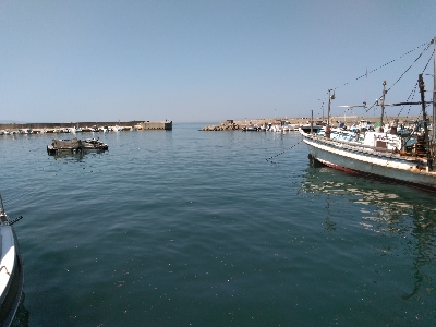 久し振りの海上釣堀オーパ！