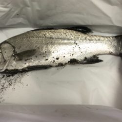 高知遠征 2日目 Part2 夕方