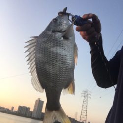 朝イチのど干潮