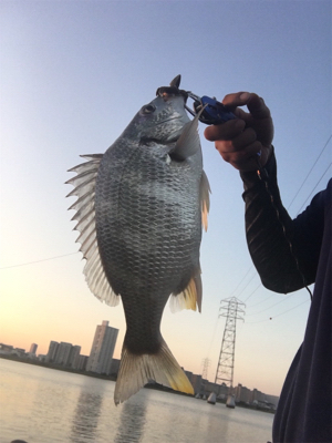 朝イチのど干潮
