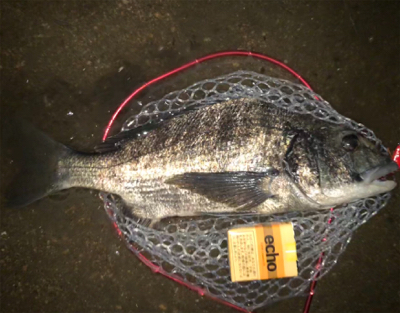 小型チニング /45チニング