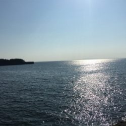 「スズキ」さん？