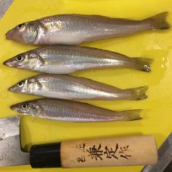 今日もキス釣り！