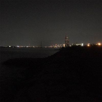 淀川ブリームゲーム ビフテキスタイル