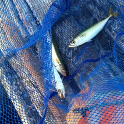 キャッチ&イート