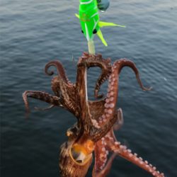 シェイクシェイクシェイク