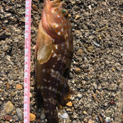 親父たちの釣行 第7弾