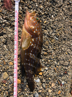 親父たちの釣行 第7弾