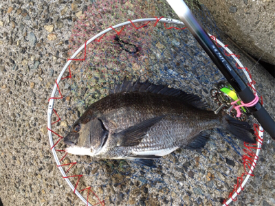 スケスケ潮！渋い！