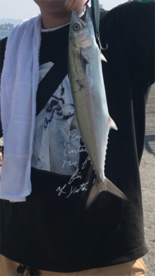 初めての青物！！