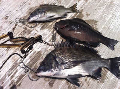 空港フカセ釣り