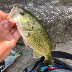 北湖にバス釣り