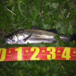 真夏の夜に魅せた！禁断のジャーク！