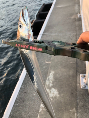 先にどっちが釣るか大会