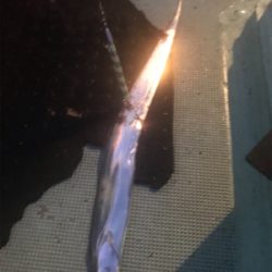 タチウオ狙いで出船