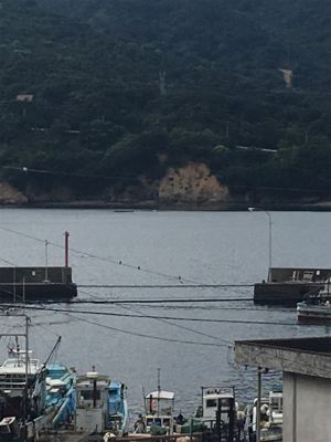 椿泊の港で適当に投げたら釣れました