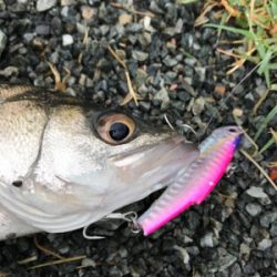 秘密の場所でゲット