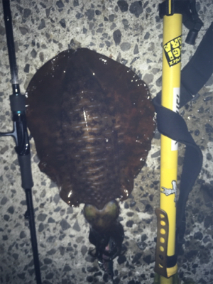 お盆で混む前に