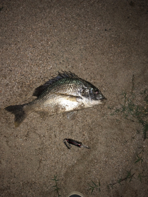 タイミングが合えば！！