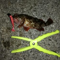 アタリは多いが…