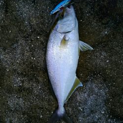 鬼ヶ城のおシオさん